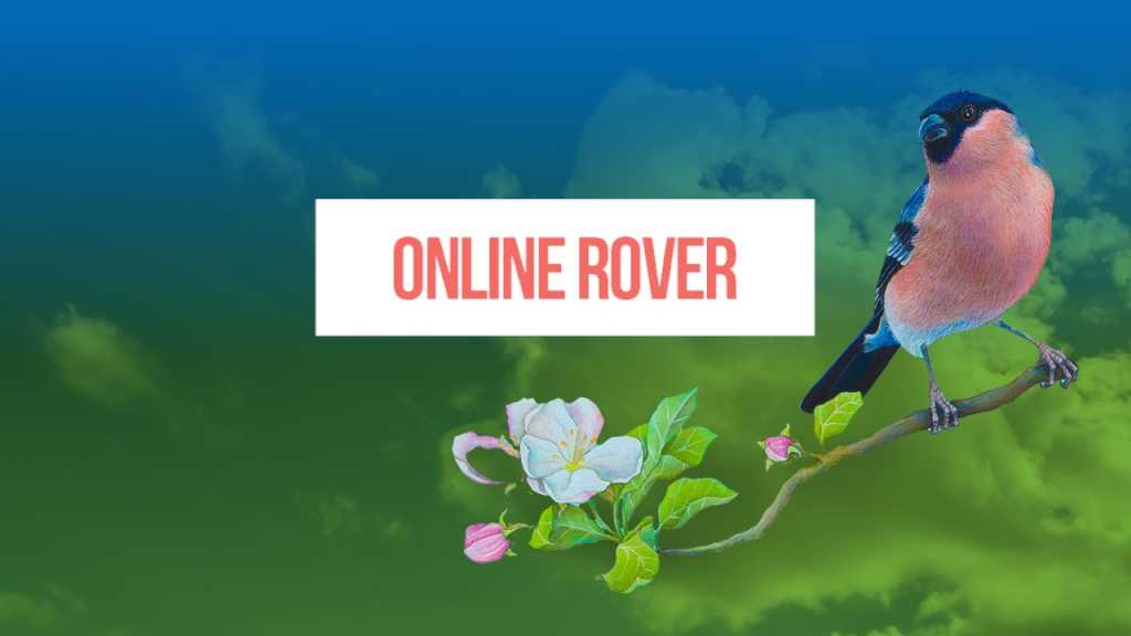 Online Rover